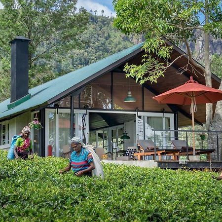 Madulkelle Tea And Eco Lodge Kandy Exterior photo
