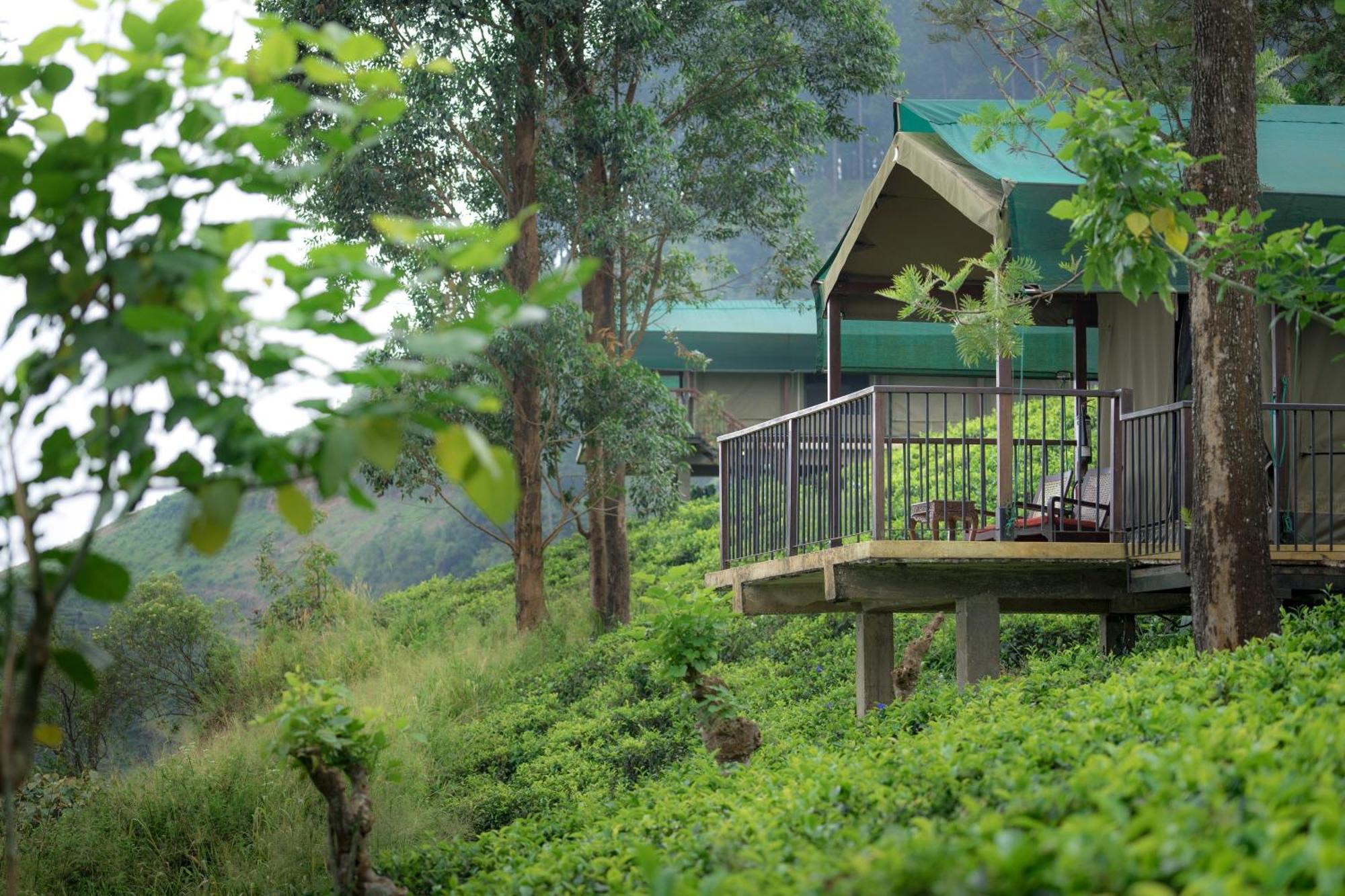 Madulkelle Tea And Eco Lodge Kandy Exterior photo