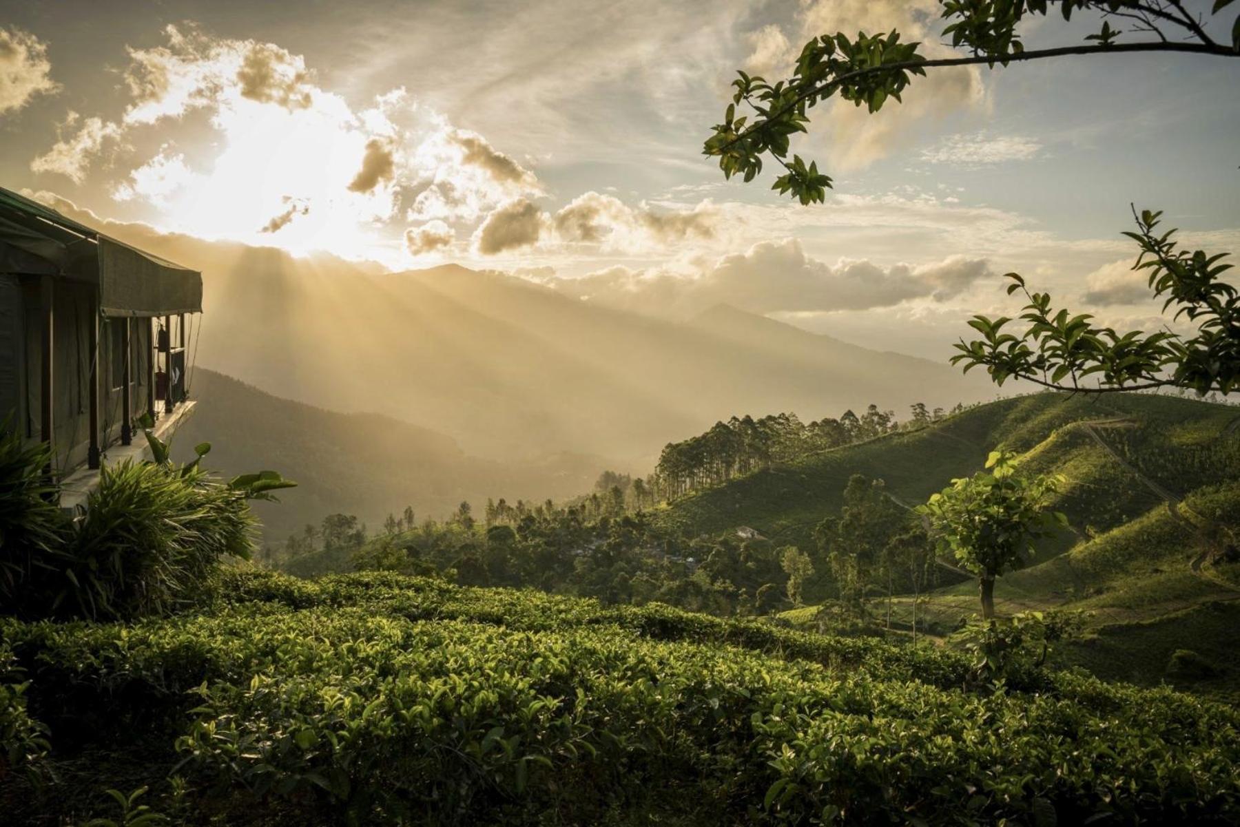 Madulkelle Tea And Eco Lodge Kandy Exterior photo