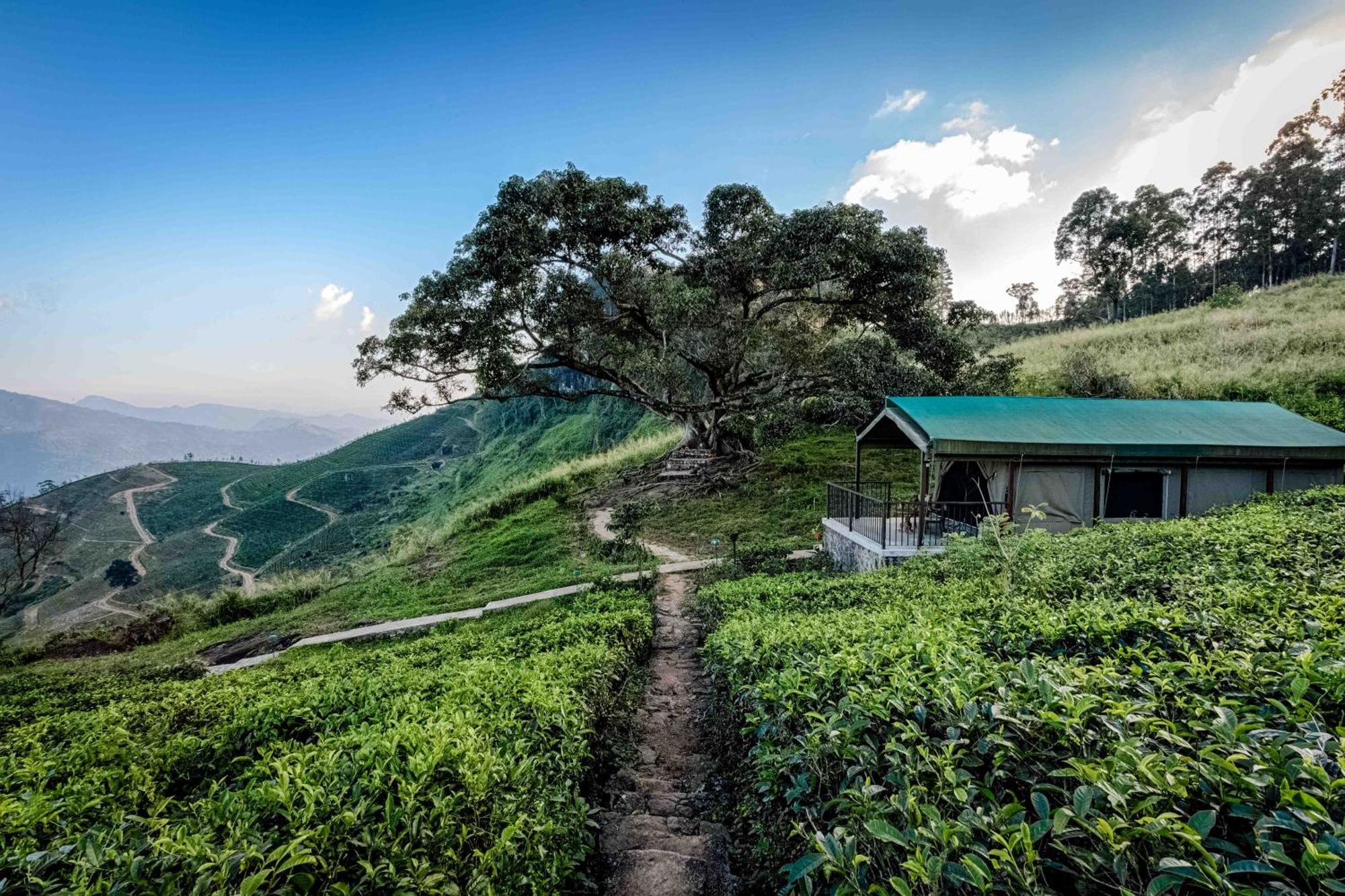Madulkelle Tea And Eco Lodge Kandy Exterior photo