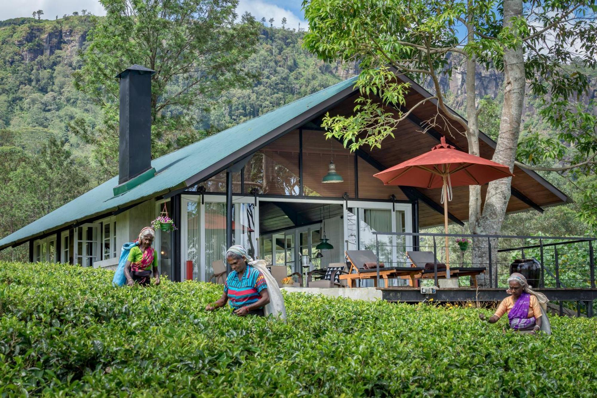 Madulkelle Tea And Eco Lodge Kandy Exterior photo